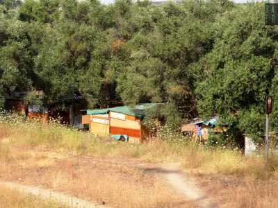Sulla nostra destra, nascoste da un rigoglioso campo di ulivi, scorgiamo le baracche di un campo rom qui presente da anni...